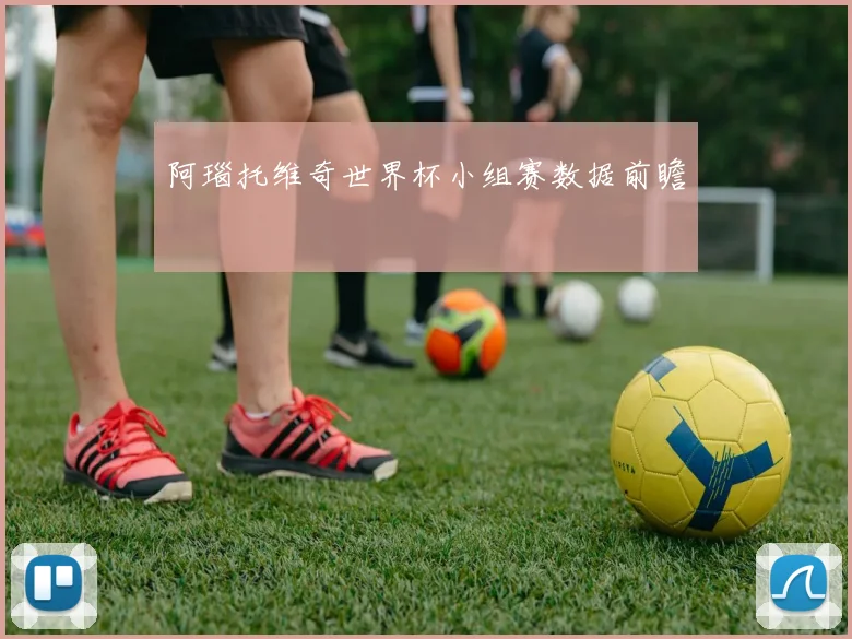 阿瑙托维奇世界杯小组赛数据前瞻