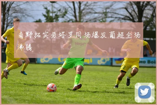 南野拓实劳塔罗同场爆发葡超全场沸腾