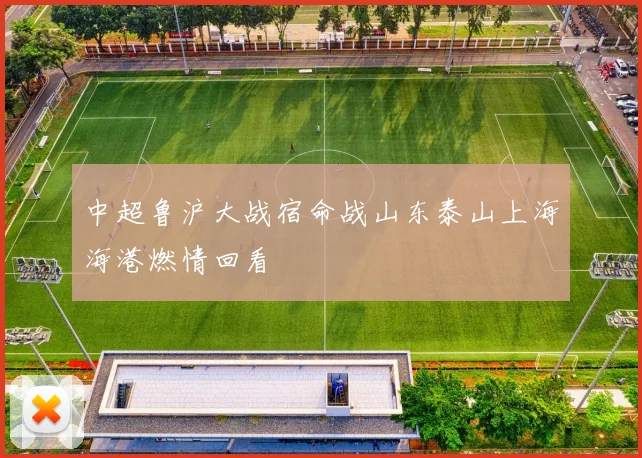 中超鲁沪大战宿命战山东泰山上海海港燃情回看