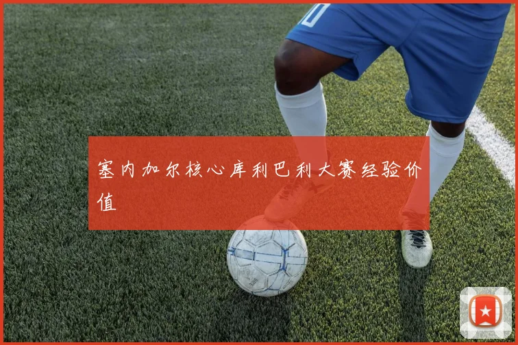 塞内加尔核心库利巴利大赛经验价值