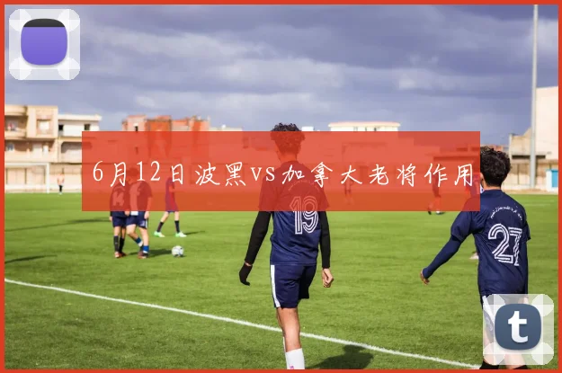 6月12日波黑vs加拿大老将作用