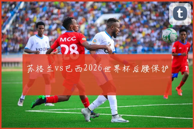 苏格兰vs巴西2026世界杯后腰保护