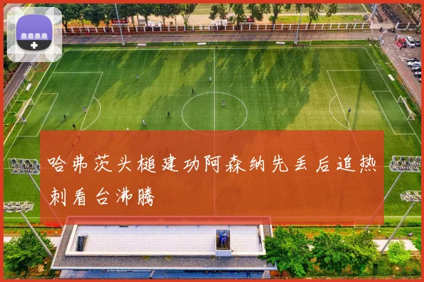 哈弗茨头槌建功阿森纳先丢后追热刺看台沸腾