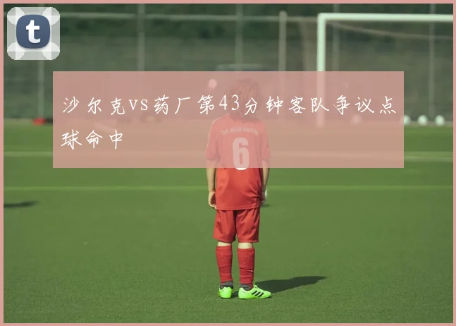 沙尔克vs药厂第43分钟客队争议点球命中