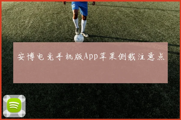 安博电竞手机版App苹果侧载注意点