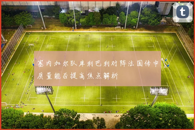塞内加尔队库利巴利对阵法国传中质量能否提高焦点解析