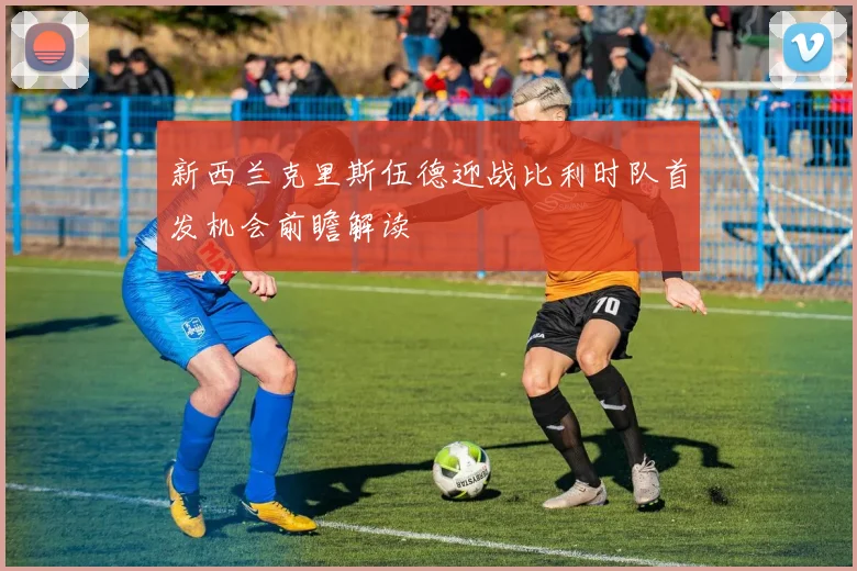 新西兰克里斯伍德迎战比利时队首发机会前瞻解读