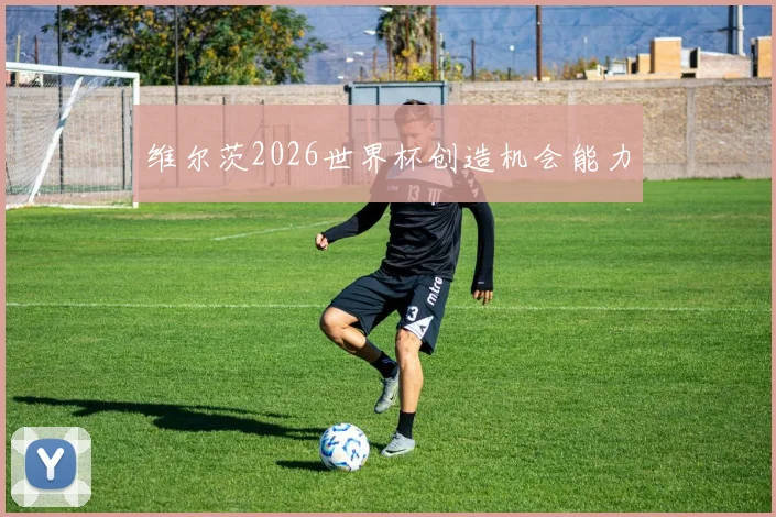 维尔茨2026世界杯创造机会能力